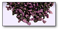 Carbon filtration media
